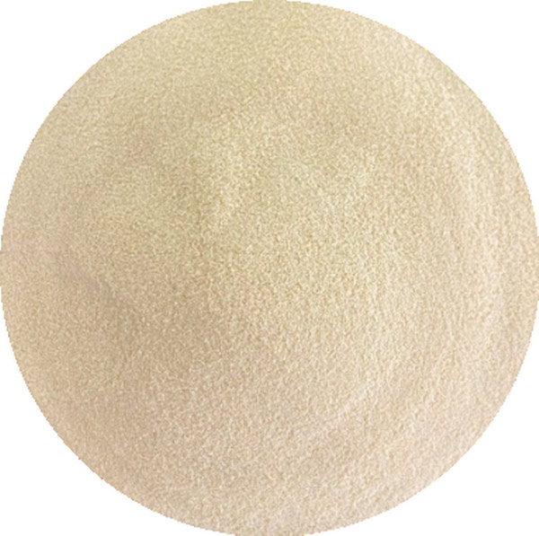 Yeast-glycoside-type-III-morphology.jpg Yeast-glycoside-type-III-morphology.jpg