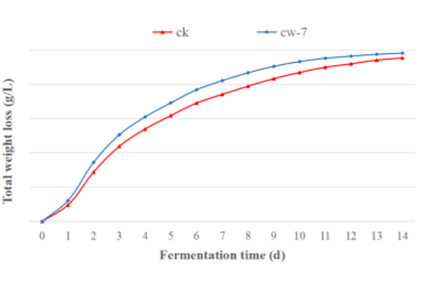 111111.jpg 111111.jpg