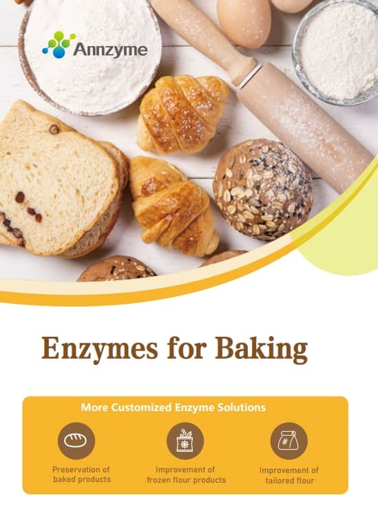 Liste der Backenzyme
