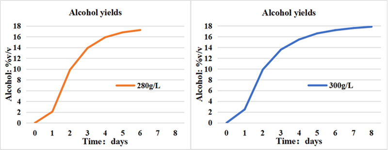 Sugar concentration, 280-300 grams per liter.jpg Sugar concentration, 280-300 grams per liter.jpg