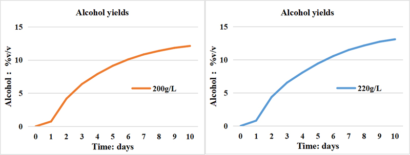 Sugar concentration, 200-220 grams per liter.jpg Sugar concentration, 200-220 grams per liter.jpg