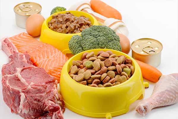 Aroma Analysis and Palatability Study of Attractants Prepared from Three Enzymatic Hydrolysis Substrates