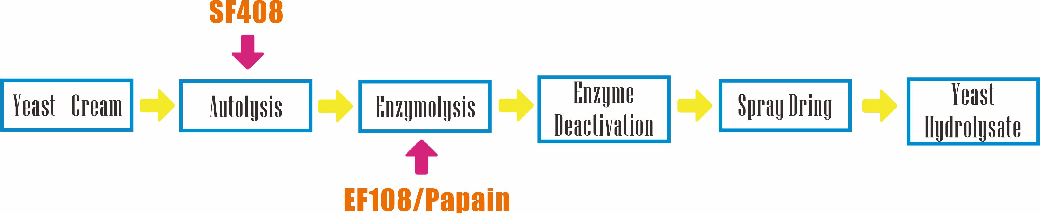 Production processing of yeast hydrolysate with Annzyme® SF408.jpg