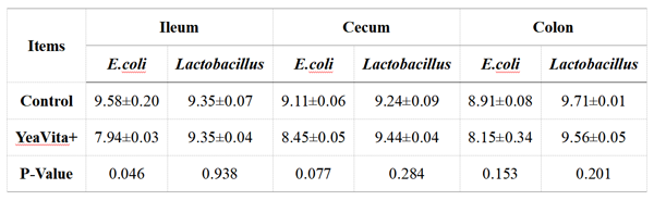 Effects of YeaVita+ on the intestinal microbes of piglets Effects of YeaVita+ on the intestinal microbes of piglets