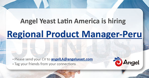 angel LA2_画板 1(3).jpg angel LA2_画板 1(3).jpg