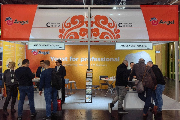 111111a.jpg 111111a.jpg