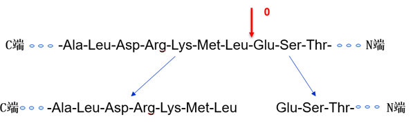 reducing the proportion of peptides with N terminal