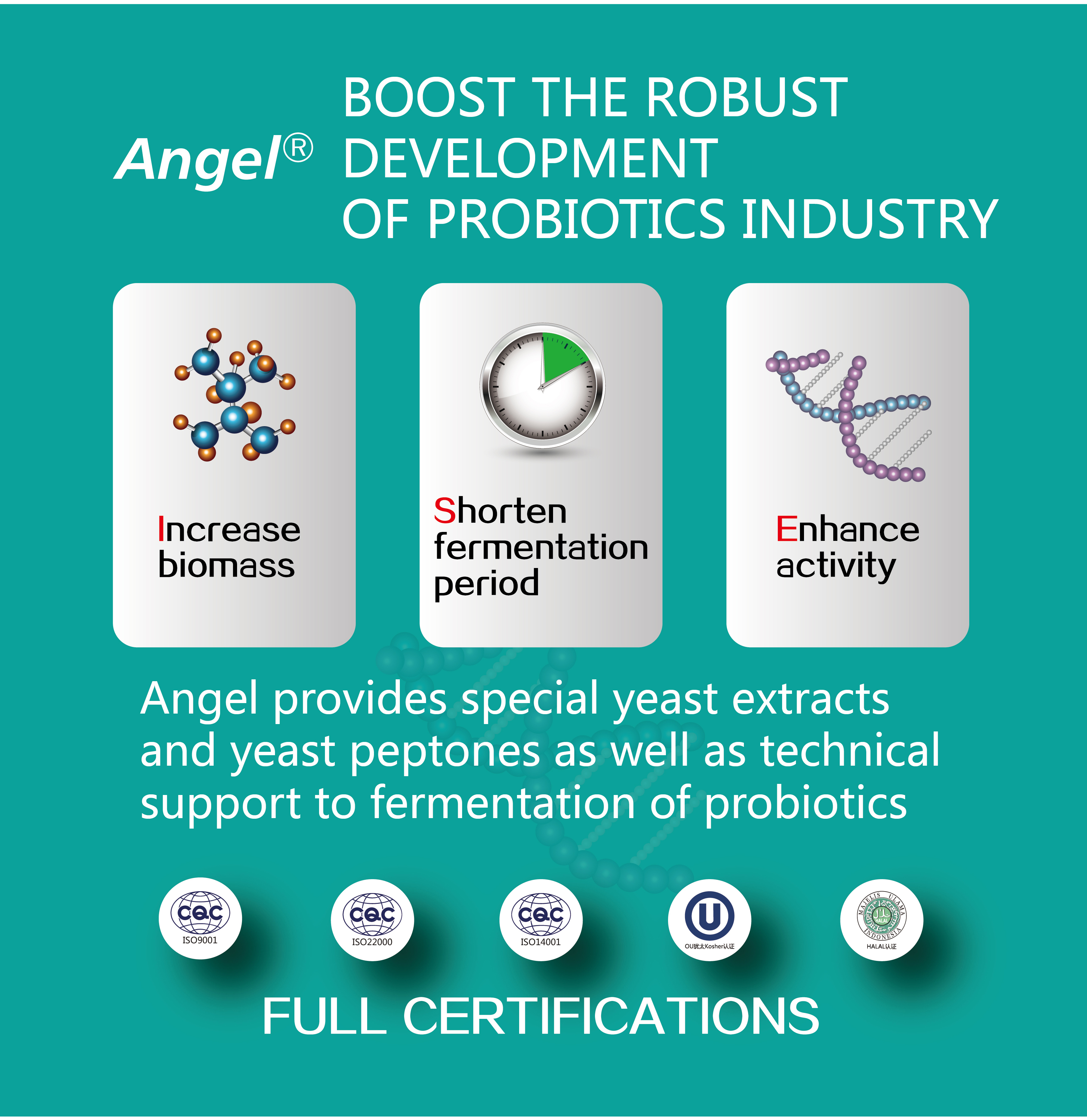 The influence of yeast extract on culture of LABs and the details of Lactobacillus acidophilus fermentation The influence of yeast extract on culture of LABs and the details of Lactobacillus acidophilus fermentation