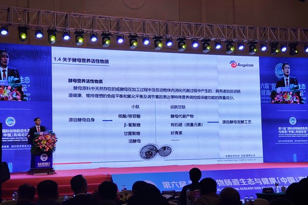 600400IMG_20201108_100627R(1)_副本.jpg 600400IMG_20201108_100627R(1)_副本.jpg