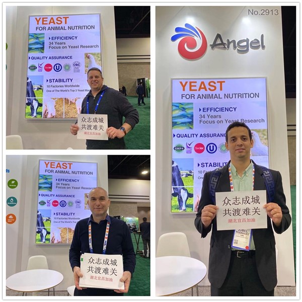 600600%20(3)_副本_副本.jpg 600600%20(3)_副本_副本.jpg