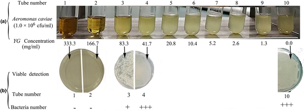 600vms3253-fig-0004-m_副本.jpg 600vms3253-fig-0004-m_副本.jpg