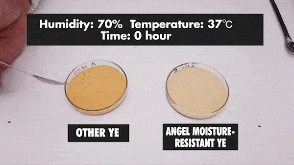 part1 update-min.gif part1 update-min.gif