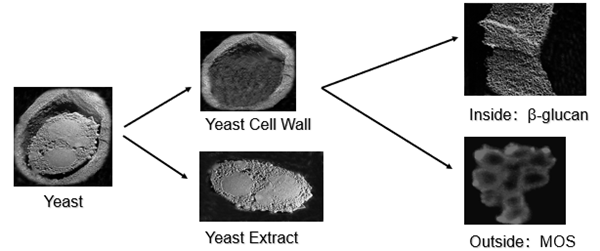 600-0151030_副本.png 600-0151030_副本.png