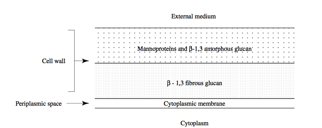 葡萄酒表1.png 葡萄酒表1.png