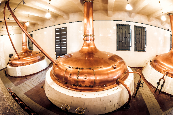 1_画板 1.jpg 1_画板 1.jpg