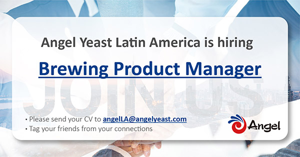 angel LA_画板 1.jpg angel LA_画板 1.jpg