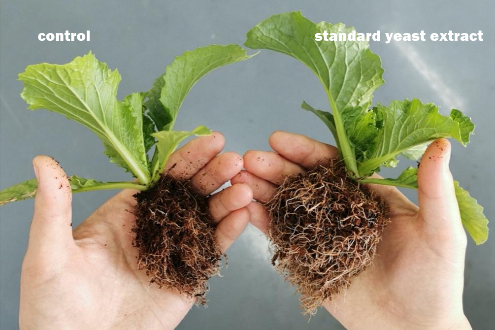 图片3(1).jpg 图片3(1).jpg