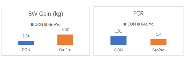 Yeast products for Antibiotic-Free diets_画板 1.jpg Yeast products for Antibiotic-Free diets_画板 1.jpg