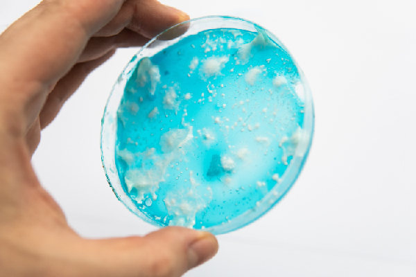 fungi-02.jpg fungi-02.jpg