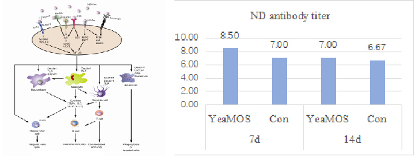 YeaMos-03.jpg YeaMos-03.jpg