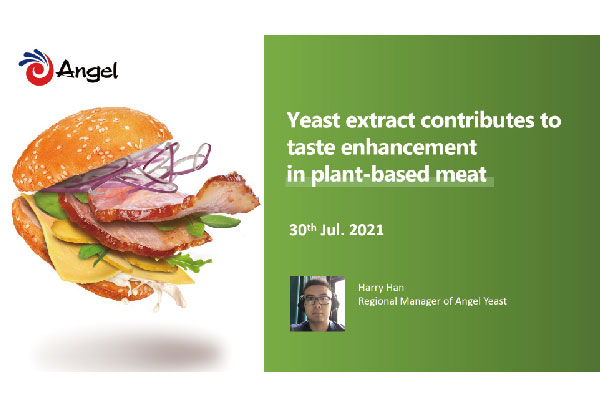 Discover the plant-based protein