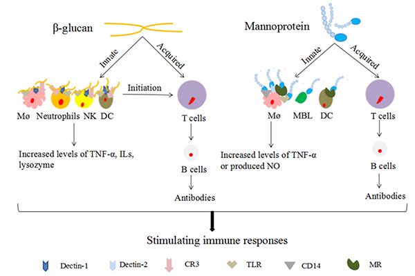 未标题-2.jpg 未标题-2.jpg
