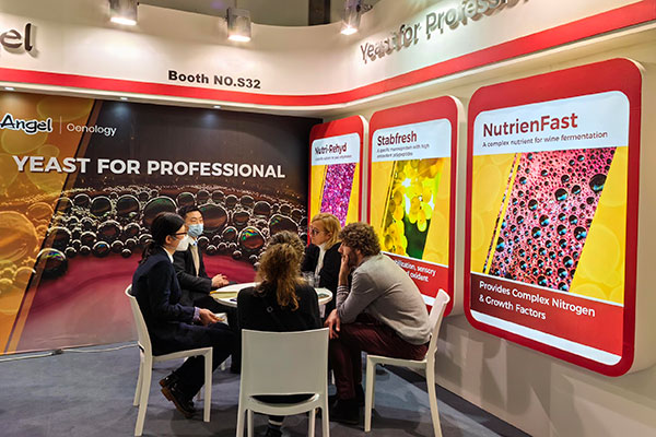 正文.jpg 正文.jpg