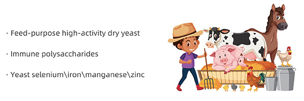 地球2.jpg 地球2.jpg