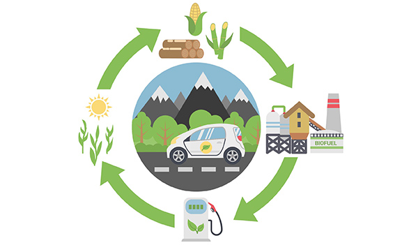 地球1.jpg 地球1.jpg