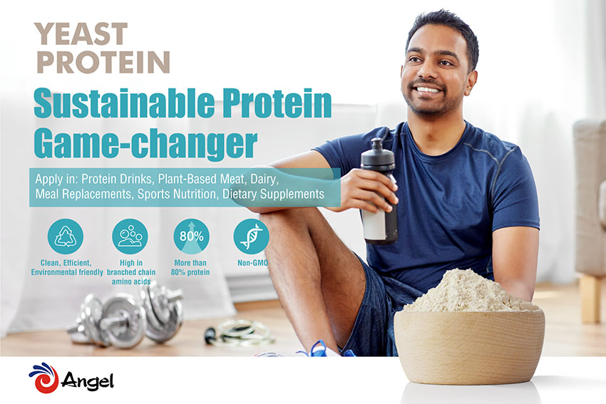 angel yeast - angeopro yeast protein sustainable alternative protein angel yeast - angeopro yeast protein sustainable alternative protein