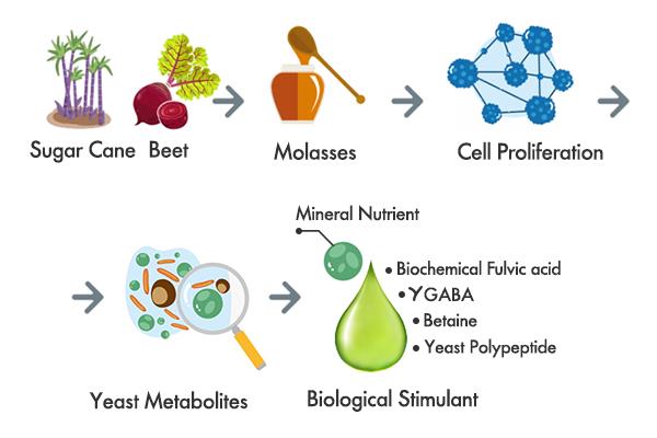 s_ab87eee44c722614.jpg s_ab87eee44c722614.jpg