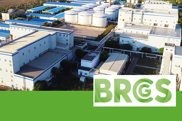 崇左 拷贝.png 崇左 拷贝.png