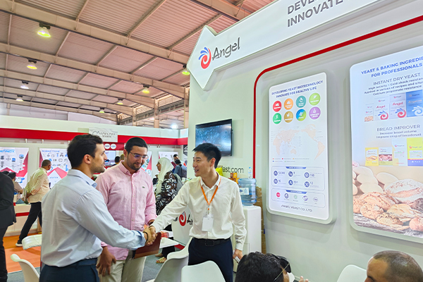 222222.jpg 222222.jpg