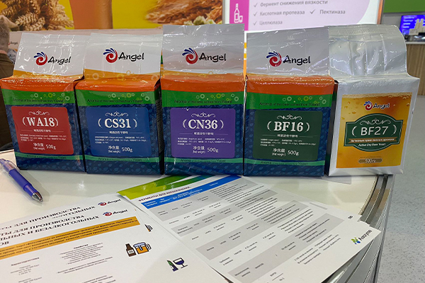 111111.jpg 111111.jpg