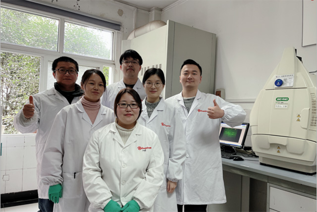 Angel-research-team.jpg Angel-research-team.jpg