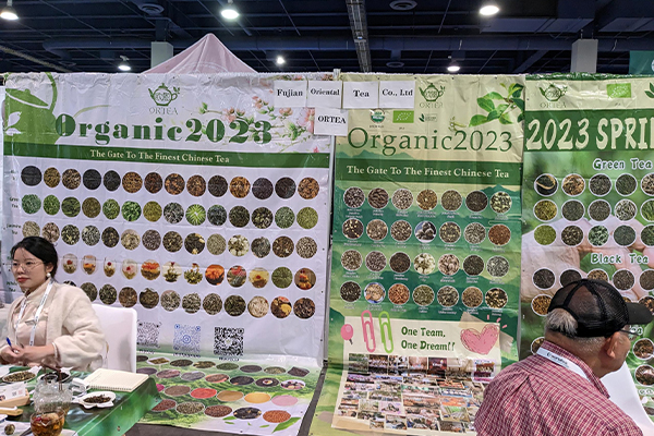 222222.jpg 222222.jpg