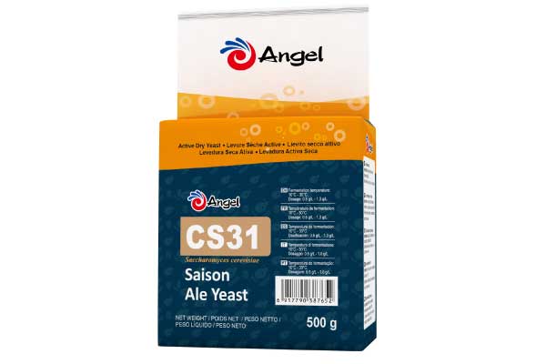 cs31-1.jpg cs31-1.jpg