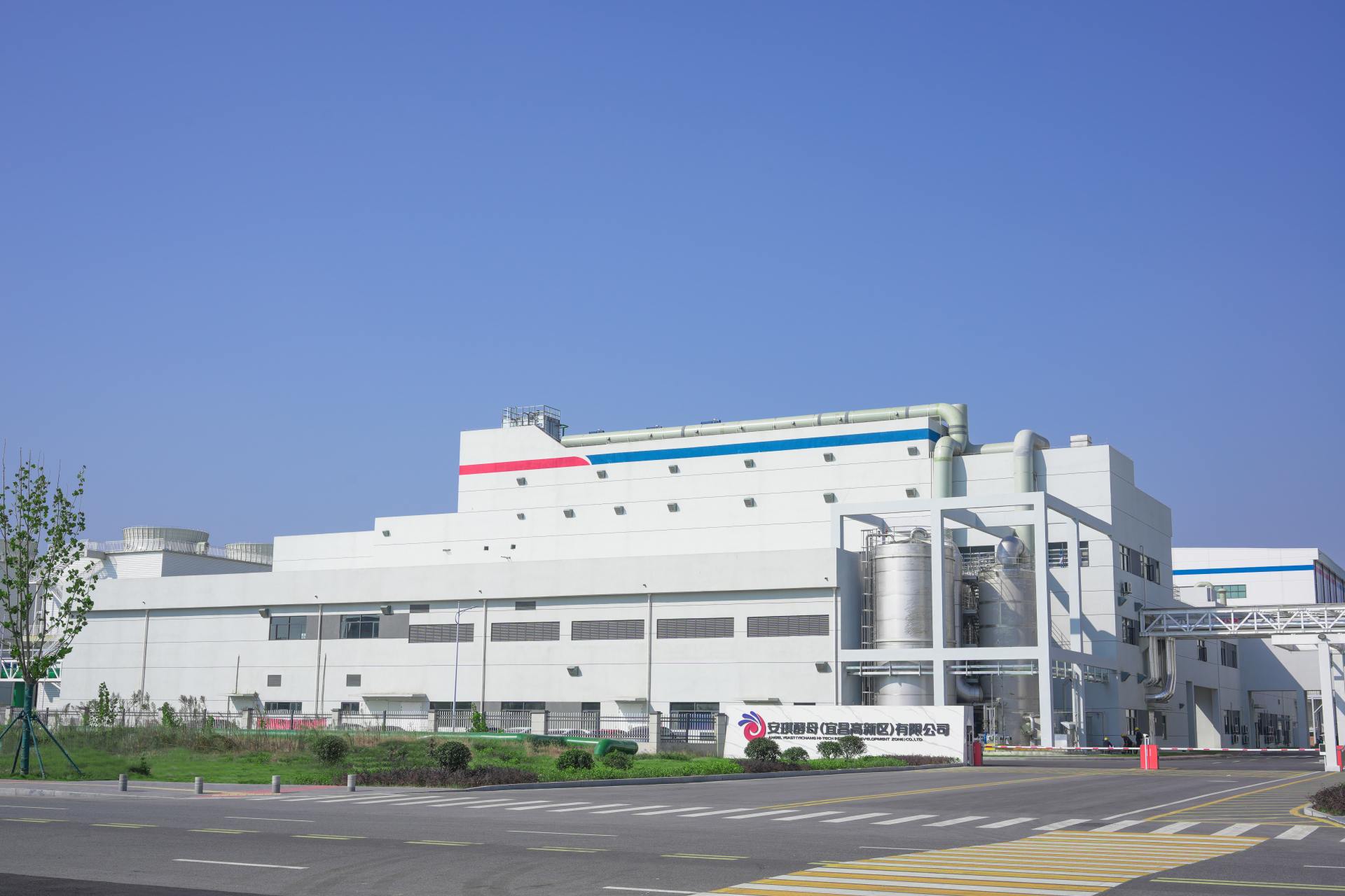 Angel Yeast’s 8,500-Ton Specialty Yeast Facility Comes Online, Powering a New Engine for Global Biomanufacturing Angel Yeast’s 8,500-Ton Specialty Yeast Facility Comes Online, Powering a New Engine for Global Biomanufacturing