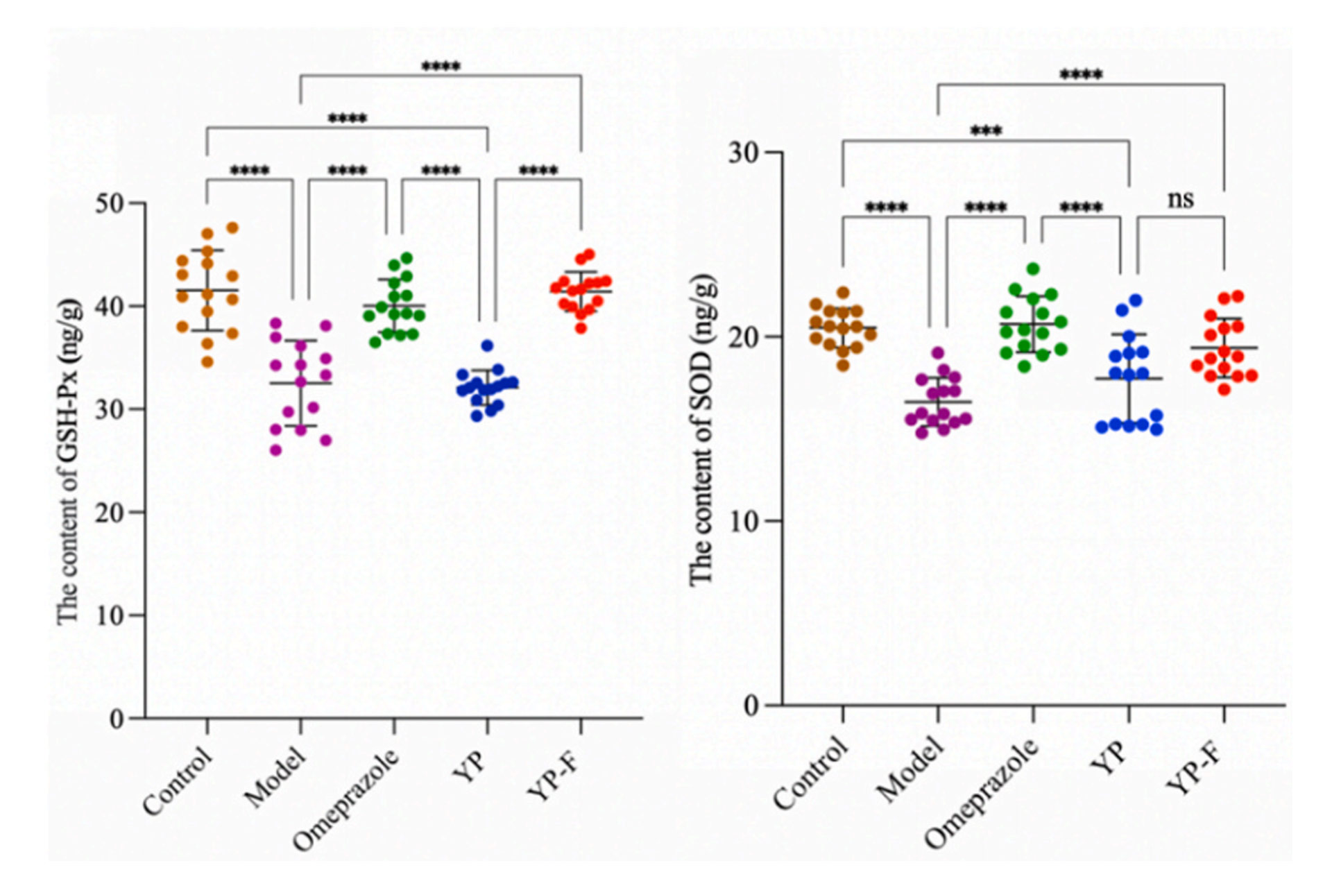YP-F-helps-the-gastric-mucosa-clear-out-free-radical-waste.jpg YP-F-helps-the-gastric-mucosa-clear-out-free-radical-waste.jpg