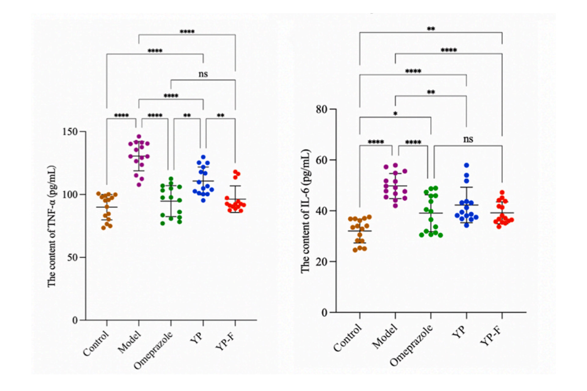 rats-treated-with-YP-F-had over-25%-lower-inflammation-levels-in-their-gastric-mucosa compared-to-the-untreated-group.jpg rats-treated-with-YP-F-had over-25%-lower-inflammation-levels-in-their-gastric-mucosa compared-to-the-untreated-group.jpg