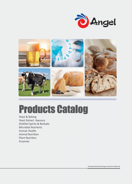 Catalogue des produits Angel