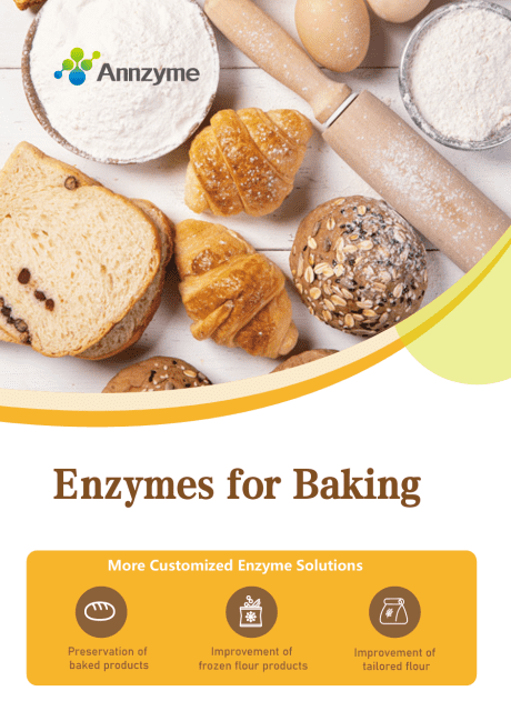 Liste des enzymes de boulangerie