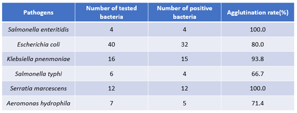 600微信截图_20200521144358_副本.png 600微信截图_20200521144358_副本.png