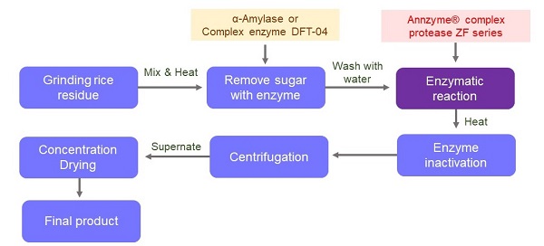 Annzyme enzymes working on rice protein.jpg Annzyme enzymes working on rice protein.jpg