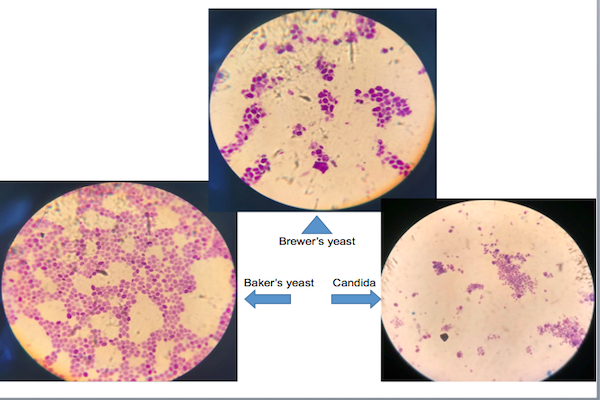 fa79e1c412b4d386.png fa79e1c412b4d386.png