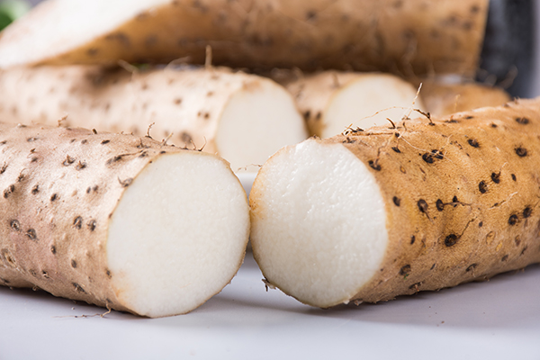 Disclosing the secret of tobacco stem fertilizer from tobacco stems to repel pests and offer quick-acting nutrients Disclosing the secret of tobacco stem fertilizer from tobacco stems to repel pests and offer quick-acting nutrients