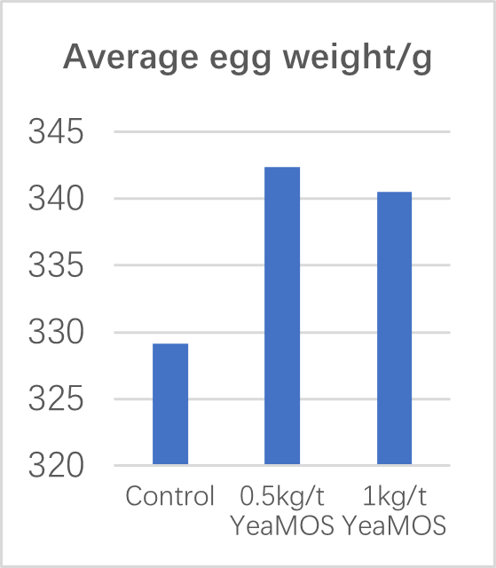 图片6.png 图片6.png