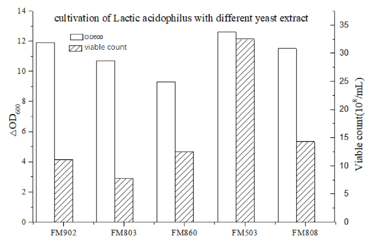 YEF-02.jpg YEF-02.jpg