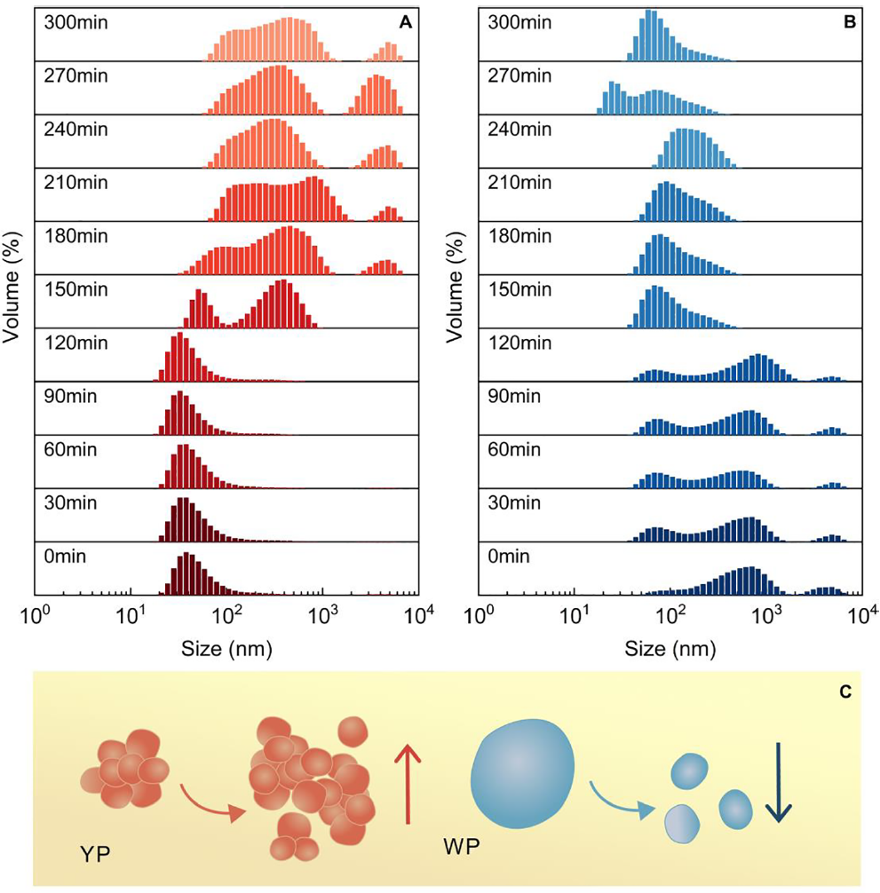 图片3.png 图片3.png
