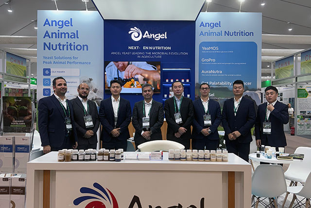 Angel Yeast Shines at 2025 Saudi Agriculture Exhibition, Securing New Breakthroughs in MEA Market